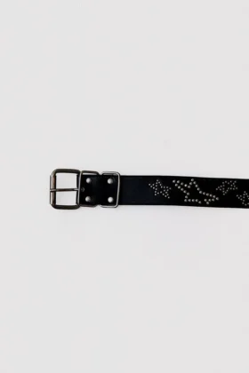 Black Polaris Belt