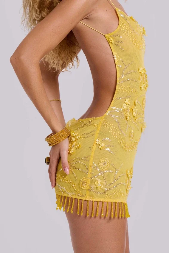 Ellora Embellished Mini Dress in Solar