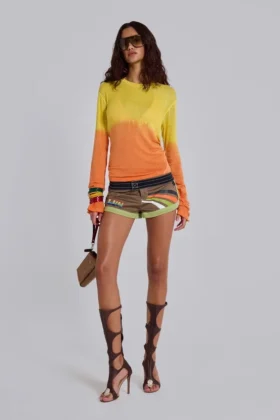 Lumir Knit Ombre Long Sleeve Top