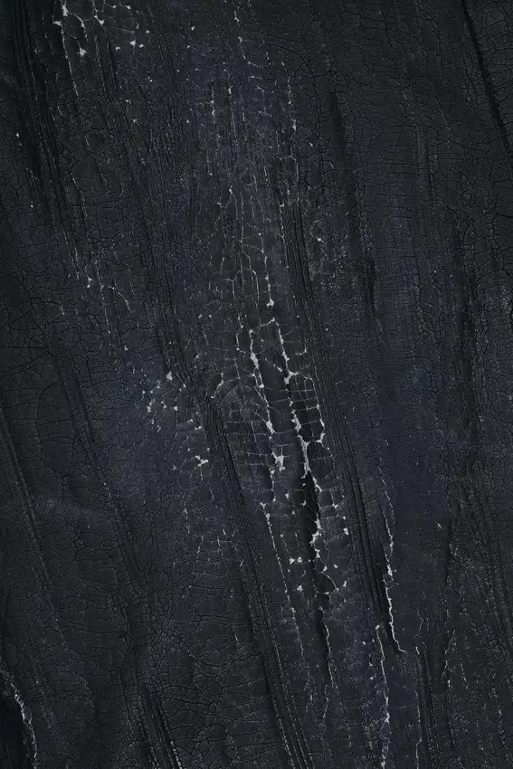 Rock Revival Moto Wax Jeans