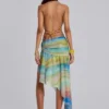 Soleila Backless Halter Top