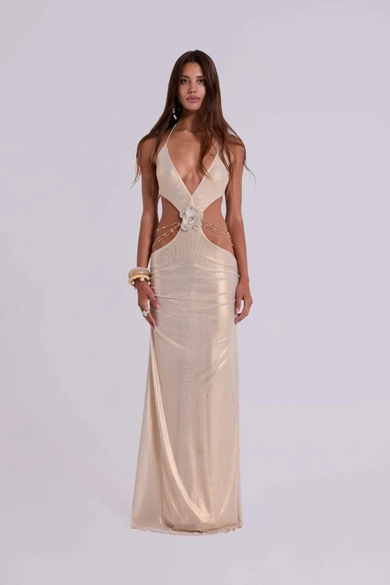 Vida Backless Maxi Dress in Gold