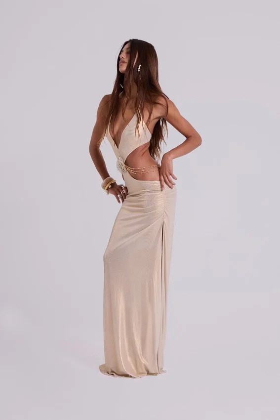 Vida Backless Maxi Dress in Gold